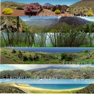 EcoSistemas Gerenciales