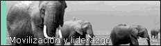 El lider y el liderazgo estratégico