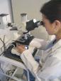 Medicina reproductiva: Introducción