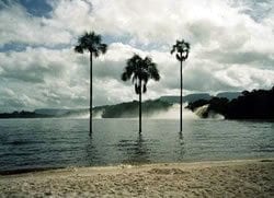 La Laguna de Canaima