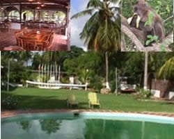 En Tucacas: Posada Pescadores Country Inn