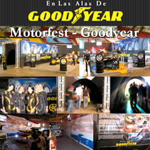 Línea Eagle High Performance  de Goodyear