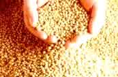 La Soya, Bolivia y el  MERCOSUR.