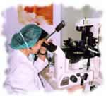 Ciencia y Humanidad