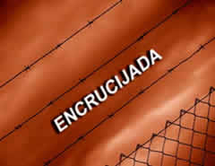 Algunas consideraciones sobre las elecciones del 3 de diciembre del 2.006