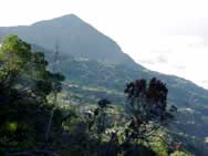 Galipán