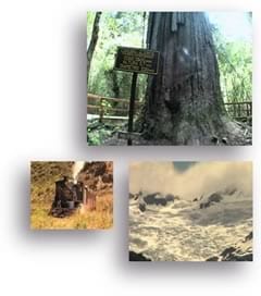 Gestión ambiental en Venezuela