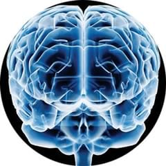 Neurodidáctica: Aprender Desarrollando El Cerebro