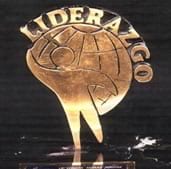 Liderazgo, consideraciones, alcance