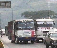 “¿El criollo, es más vivo?”