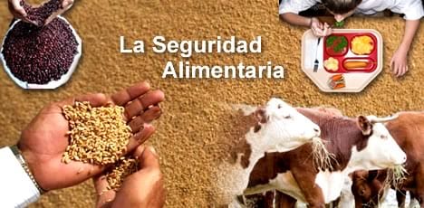 La concertación y el apoyo al productor luce la vía de paliar el problema de la seguridad alimentaria