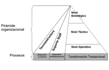 Reflexiones sobre Organización