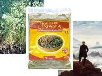 Flor de la Linaza