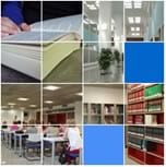 Las Escuelas de Administración  requieren ser más proactivas y actualizadas