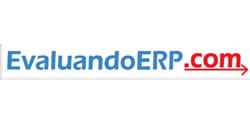 Monitor de demanda de software ERP-2009