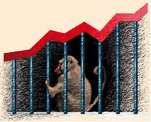 La realidad, (casi siempre), supera a la ficción: Wall Street y los monos