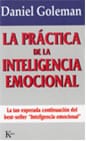 La práctica de la inteligencia emocional
