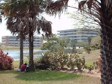 La Universidad es lo primero