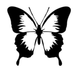 El aleteo de las alas de una mariposa se puede sentir al otro lado del mundo