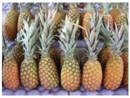 La bromelina de la piña, nuevo complemento dietético