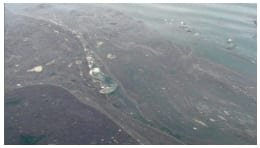 La mancha biológica que acecha Alaska