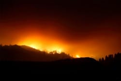 Incendios forestales: ¿quién apaga las consecuencias?