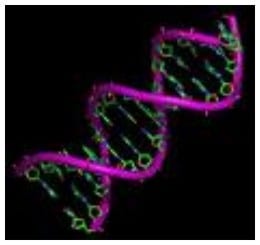 Científicos británicos descubren un mecanismo molecular que determina la dinámica de la metástasis del Cáncer
