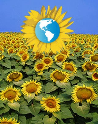 Creatividad Sustentable
