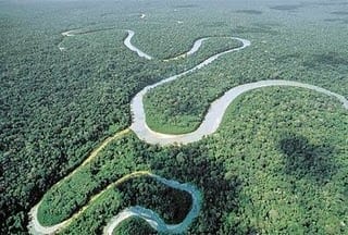 REDD… ¿Qué es y con qué se come?