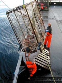 Destrucción de las profundidades marinas