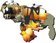 EL CRECIMIENTO ECONÓMICO VENEZOLANO RECIENTE