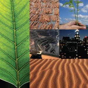 La gestión ambiental en el Desarrollo Económico Local