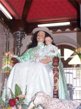 Fiesta Católica Mariana de la visita 155 de la imagen de la Divina Pastora el próximo 14 de enero .