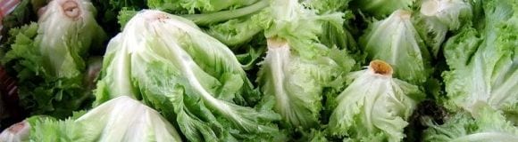 Ensaladas con menos patógenos