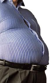 Descubren células del crecimiento que actúan como sensores contra la obesidad
