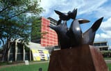 UCV inaugura exposición para celebrar 10 años como Patrimonio Mundial