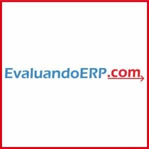 Encuesta de Expectativas de Consultores TI – 2011