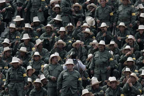 Las FAN: ¿Otro componente del Poder Ejecutivo Revolucionario?