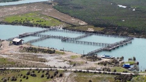 Acuicultura, el futuro de la pesca
