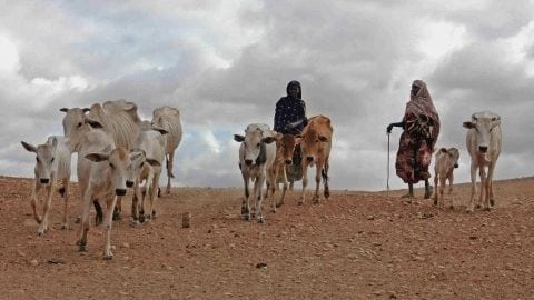 Cuerno de África, siempre en crisis