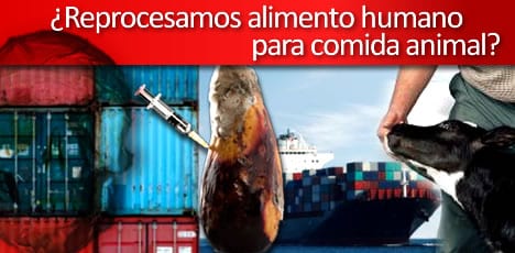 ¿Estaremos importando comida descompuesta  para el reprocesamiento de alimento animal?