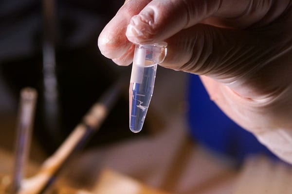 Científicos logran crear ADN (AXN artificial) que evoluciona y puede replicarse