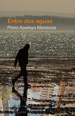 Entre dos aguas