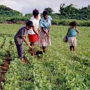 Muy raro lo que pasa en el Campo Venezolano