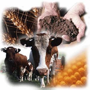 III Gran Feria Ganadera y Agroindustrial de Barinas