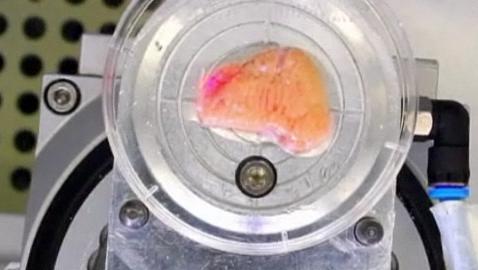 Científicos alemanes sintetizan piel humana mecánicamente