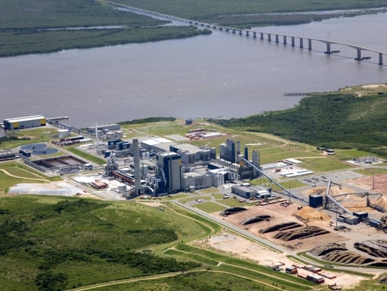 URUGUAY: La pasta de celulosa será el principal producto de exportación en los próximos años
