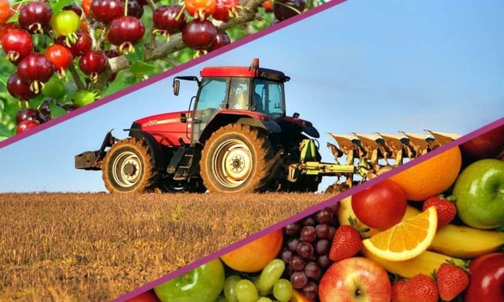 Las importaciones agroalimentarias como factor de subdesarrollo