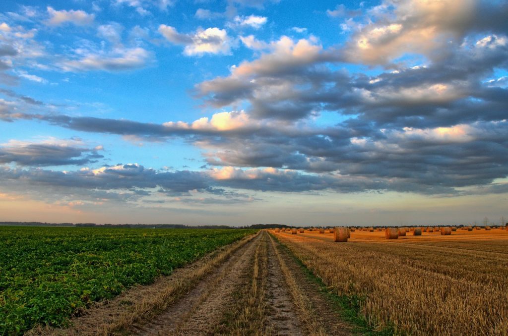 Es la agricultura, estúpido.
