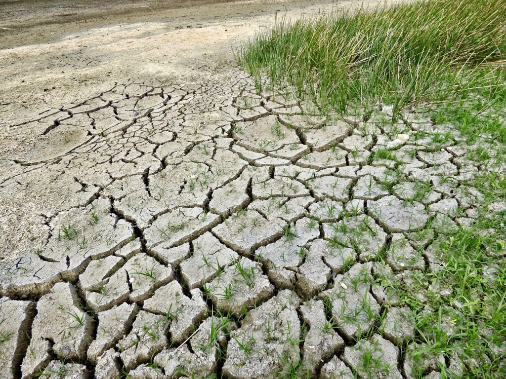 ¿Es demasiado tarde para actuar en favor del cambio climático?